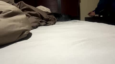 Snapshot of dolphin22356 chatting on 17, 1, 2025 Ben Dover online show from 17, 1, 2025