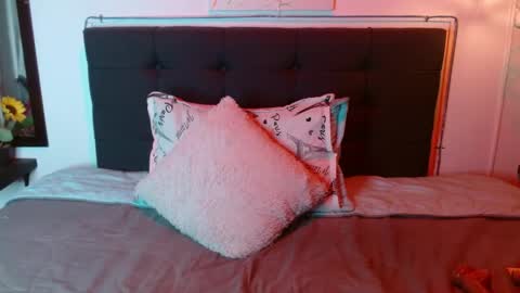Snapshot of domink_gilr chatting on 1, 6, 2026 D O M I N K online show from 1, 6, 2026