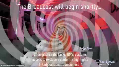 DomLioness online show from 31, 10, 2025