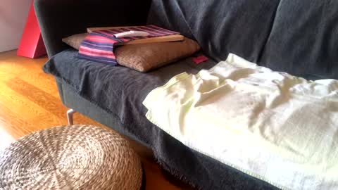 Alfredo online show from 15, 1, 2025