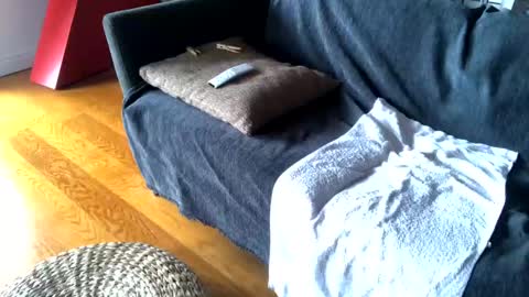 Alfredo online show from 26, 2, 2025