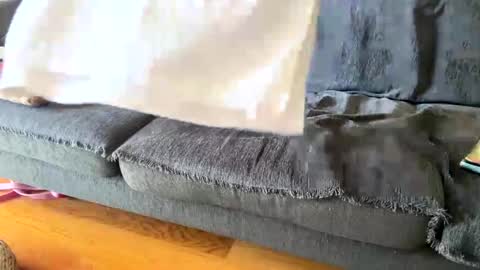 Alfredo online show from 19, 9, 2025