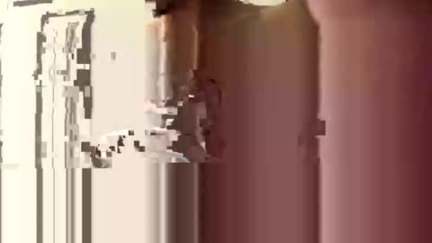 donnie206 online show from 6, 1, 2026