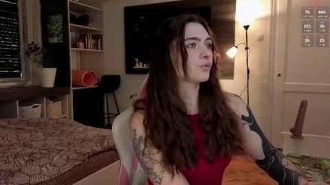 Snapshot of dorfmatratze_ chatting on 14, 6, 2026 Alice online show from 14, 6, 2026