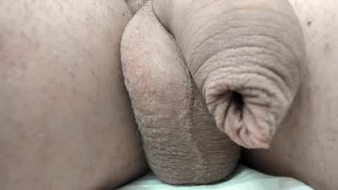 menu  below online show from 11, 2, 2025