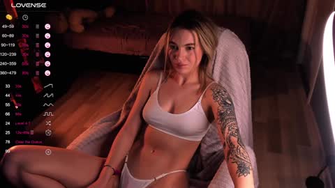 Snapshot of dreamaise chatting on 13, 12, 2024  Mary   pvt open    use pink and blue app lovense online show from 13, 12, 2024