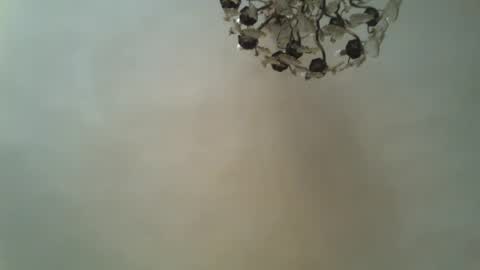 Snapshot of drfillgood chatting on 20, 6, 2026 Dr Fill online show from 20, 6, 2026