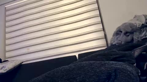 Snapshot of drippinggenie chatting on 26, 12, 2024 drippinggenie online show from 26, 12, 2024