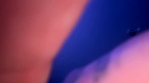 Snapshot of drippinggenie chatting on 23, 1, 2025 drippinggenie online show from 23, 1, 2025