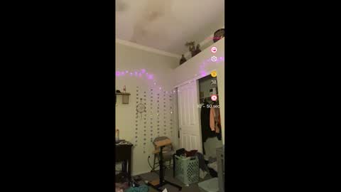 Drippy kitty  online show from 8, 1, 2026