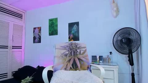 drippyorlove online show from 24, 2, 2026