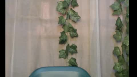 linda online show from 29, 9, 2025