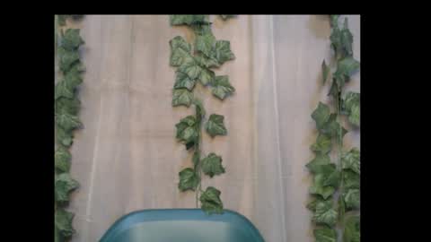 linda online show from 6, 10, 2025