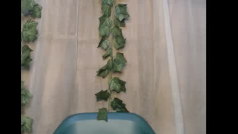 Snapshot of dripqueenx chatting on 10, 1, 2026 linda online show from 10, 1, 2026