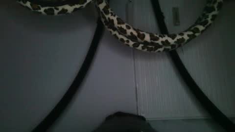 Snapshot of drolyts chatting on 25, 2, 2026 drolyts online show from 25, 2, 2026