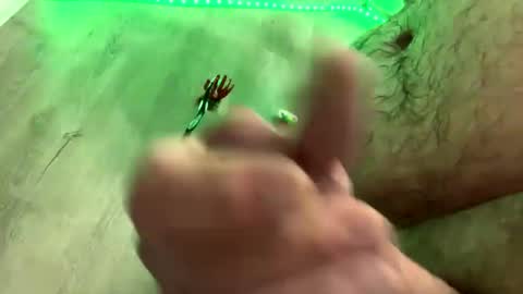 Snapshot of droppingloads82 chatting on 1, 1, 2025 droppingloads82 online show from 1, 1, 2025