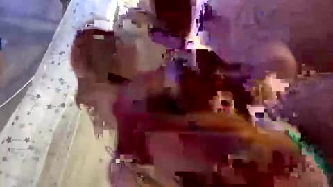 Snapshot of droppingloads82 chatting on 1, 2, 2025 droppingloads82 online show from 1, 2, 2025