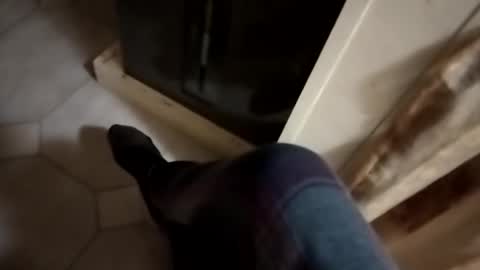 dthedog12 online show from 24, 10, 2025