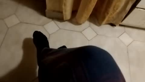 dthedog12 online show from 27, 10, 2025