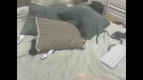 Dude online show from 18, 2, 2026