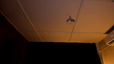 DUSTYN MICHELLE online show from 11, 4, 2026