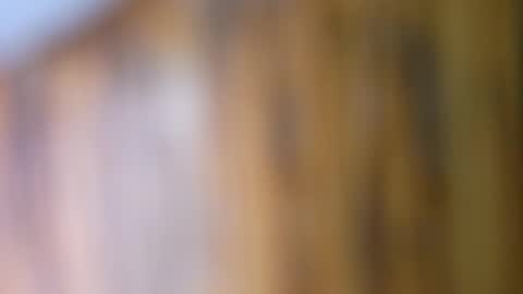 dVe1oPe online show from 10, 9, 2025