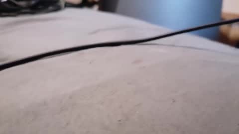 Snapshot of dwercybo chatting on 18, 1, 2026 ted online show from 18, 1, 2026