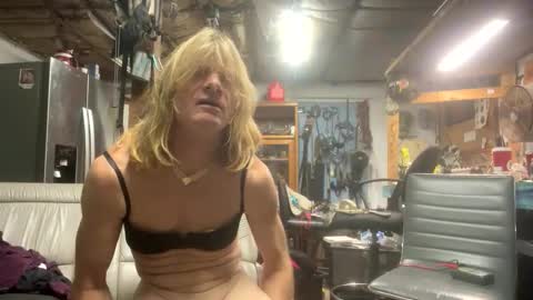 dwr127 online show from 15, 3, 2026