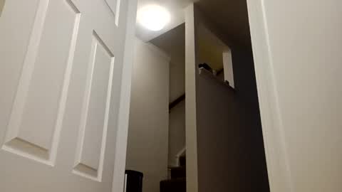 easternjerk online show from 16, 12, 2025