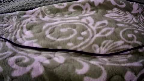 eatermo online show from 18, 4, 2026