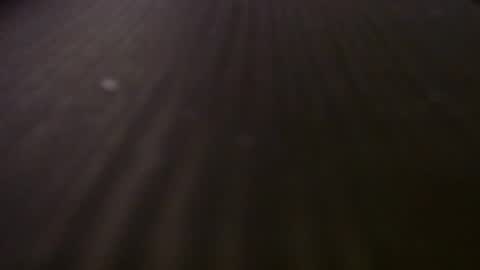 ebiminajj online show from 26, 4, 2026