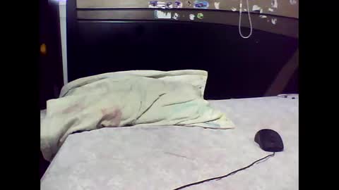 Edd Gallego online show from 2, 11, 2025