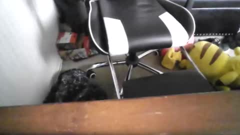 eddy815 online show from 24, 11, 2025