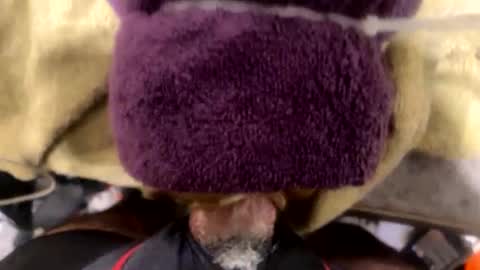 ehdgher online show from 2, 12, 2025