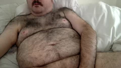 Snapshot of elago chatting on 19, 6, 2026 elabear online show from 19, 6, 2026