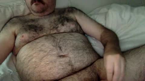 Snapshot of elago chatting on 22, 6, 2026 elabear online show from 22, 6, 2026