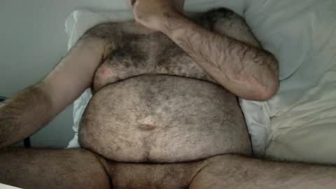 Snapshot of elago chatting on 29, 6, 2026 elabear online show from 29, 6, 2026