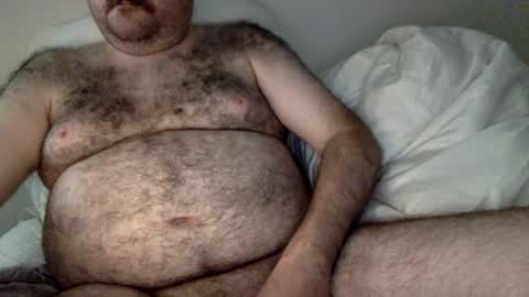 Snapshot of elago chatting on 26, 7, 2026 elabear online show from 26, 7, 2026