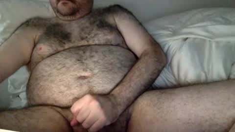 Snapshot of elago chatting on 29, 7, 2026 elabear online show from 29, 7, 2026