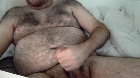 Snapshot of elago chatting on 2, 8, 2026 elabear online show from 2, 8, 2026