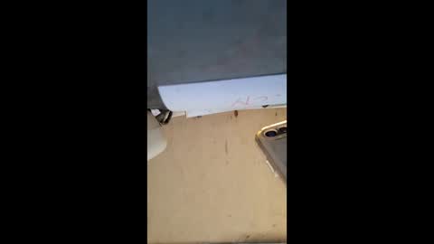 Snapshot of elaine33mae chatting on 3, 3, 2026 elaine33mae online show from 3, 3, 2026