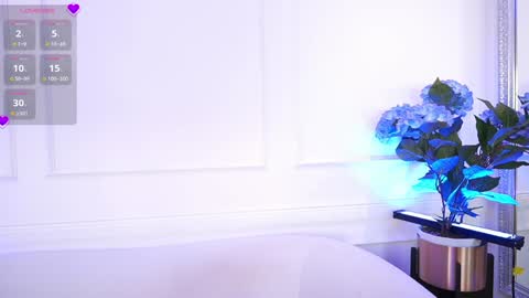 Elasummeer online show from 15, 1, 2025