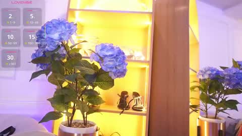 Elasummeer online show from 20, 11, 2025