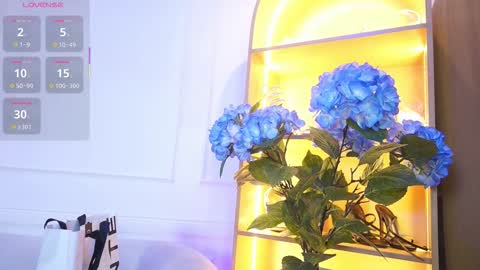 Elasummeer online show from 28, 11, 2025