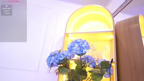 Elasummeer online show from 18, 12, 2025