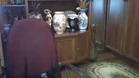 Snapshot of elenazed chatting on 12, 7, 2026 ElenaZed online show from 12, 7, 2026