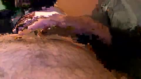 Snapshot of elgato66699 chatting on 20, 4, 2026 elgato66699 online show from 20, 4, 2026