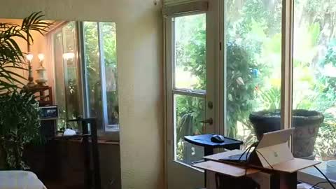 eliberator online show from 13, 6, 2026