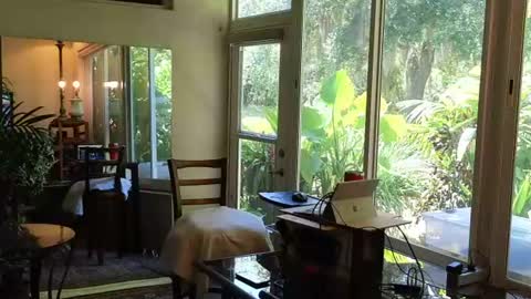 eliberator online show from 28, 6, 2026