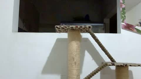 Elizabeth Martinez  online show from 18, 1, 2025